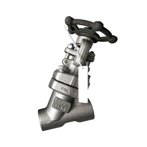 F317 Y globe valve