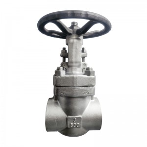 3 inch Gate Valve Class 800, F51 Material