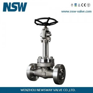 Cryogenic Globe Valve