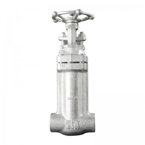API 602 Bellows Sealed Globe Valve