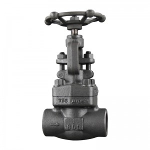 Forged Steel Globe Valve