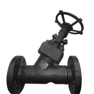 Y Flange Globe Valve